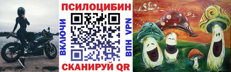 Псилоцибиновые грибы GOLDEN TEACHER  Новосибирск 