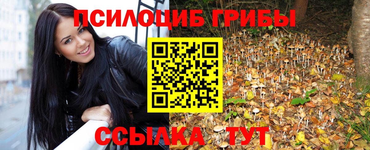Псилоцибиновые грибы прущие грибы  даркнет сайт  Новосибирск  Вход с VPN 